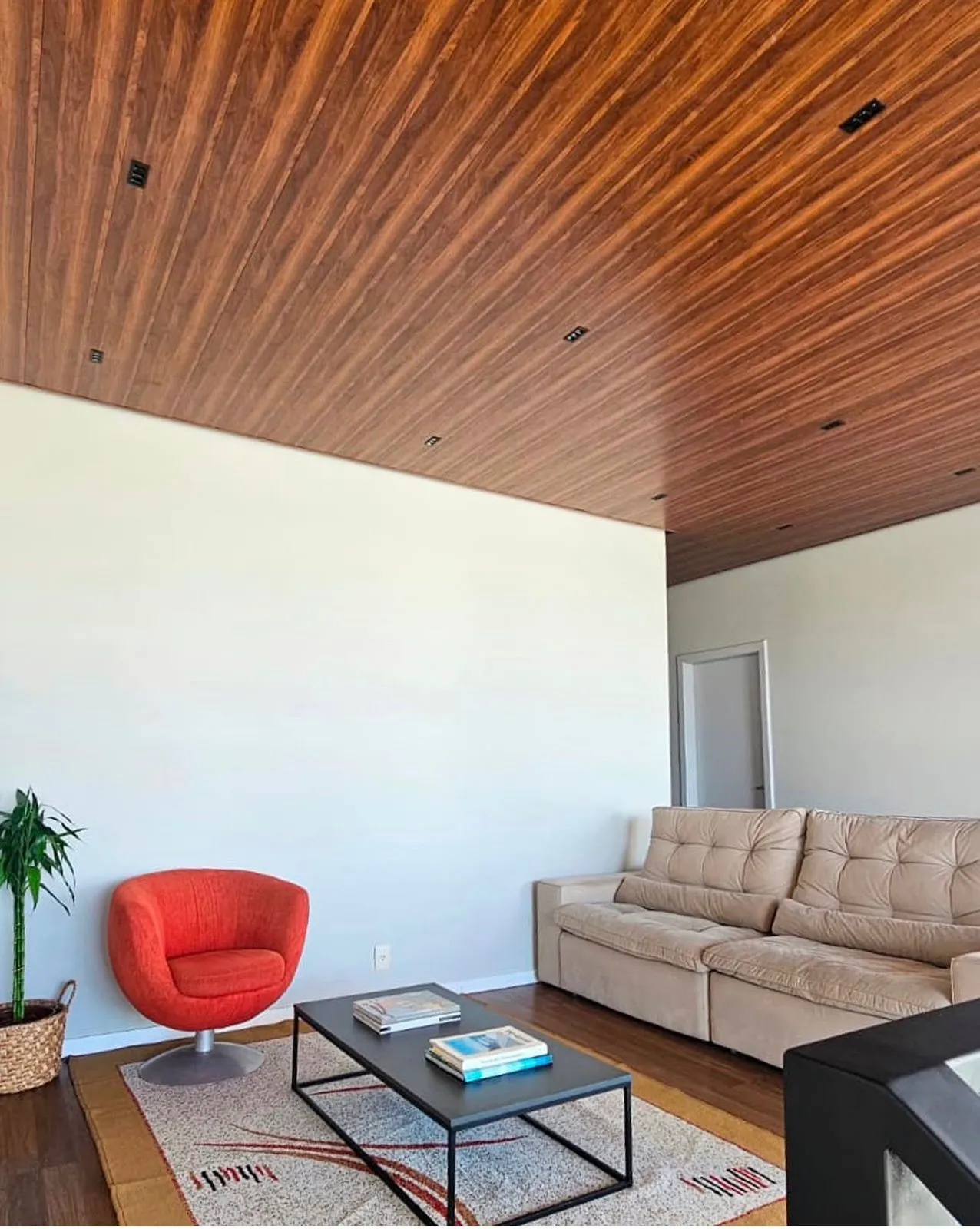Forros Gold Oak