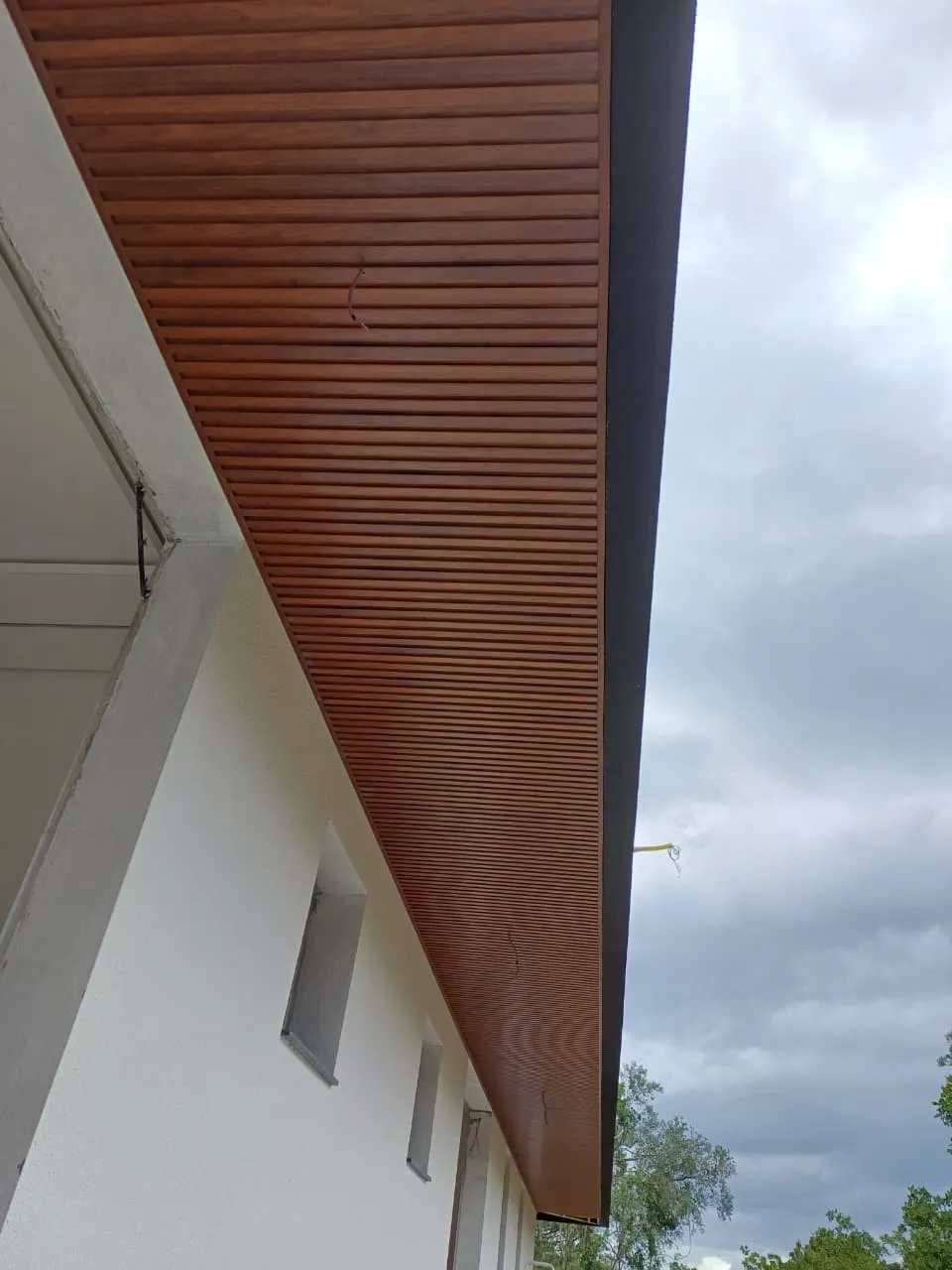 Ripado Gold Oak